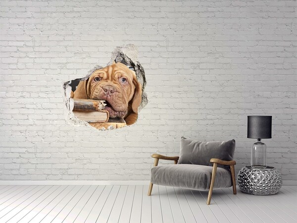 Fototapet un zid spart cu priveliște Un cățeluș dulce printre cărți