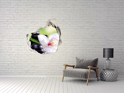 Fototapet 3D gaură în perete Orhidee