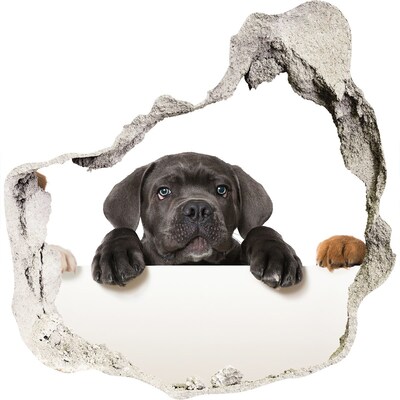 Autocolant gaură 3D Cățeluș dulce de după perete