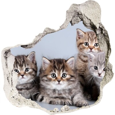 Autocolant gaură 3D cinci pisici