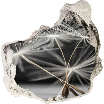 Autocolant de perete gaură 3D Flori de păpădie în beton