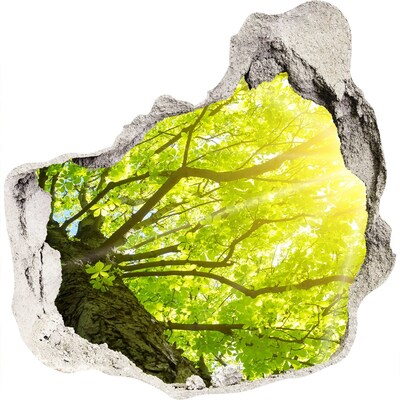 Autocolant 3D gaura cu priveliște Pădurea verde în razele soarelui