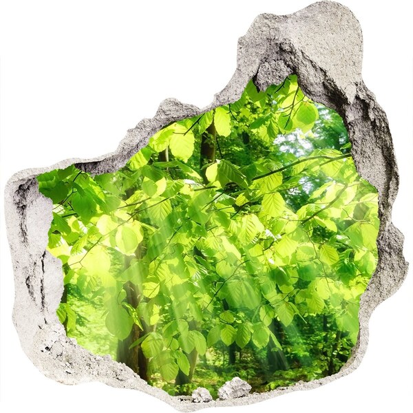 Autocolant de perete gaură 3D Pădurea verde în razele soarelui