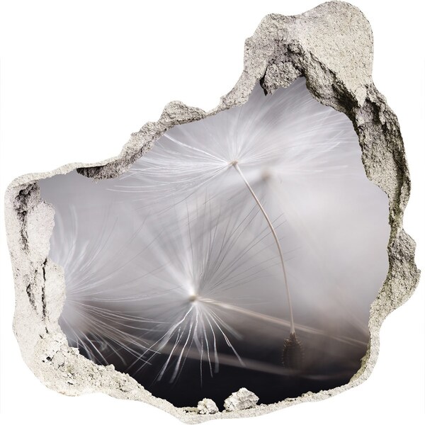 Autocolant autoadeziv gaură Păpădii în beton