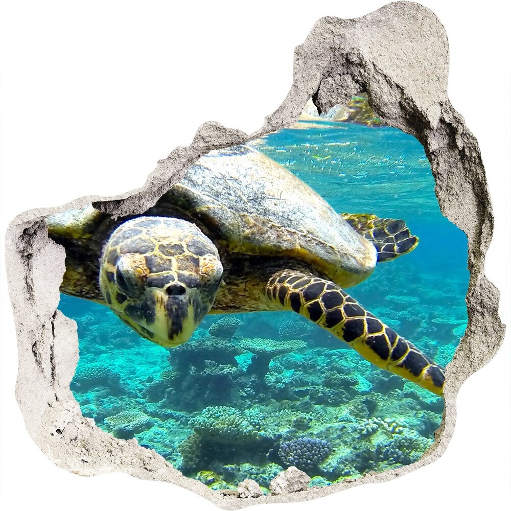Autocolant gaură 3D Broască țestoasă