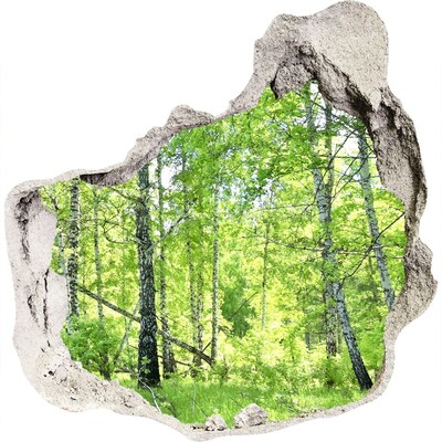 Fototapet 3D gaură în perete pădurea de mesteacăn