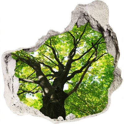 Autocolant 3D gaura cu priveliște Pădurea verde într-o gaură în perete