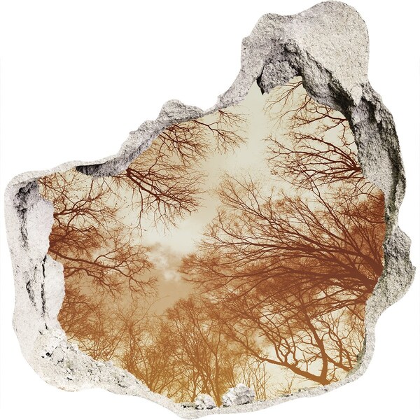 Fototapet 3D gaură în perete Reflecția copacilor într-un zid ruinat