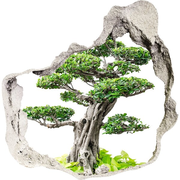 Autocolant 3D gaura cu priveliște copac bonsai