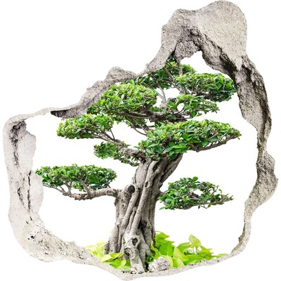Autocolant 3D gaura cu priveliște Bonsai într-o gaură în perete