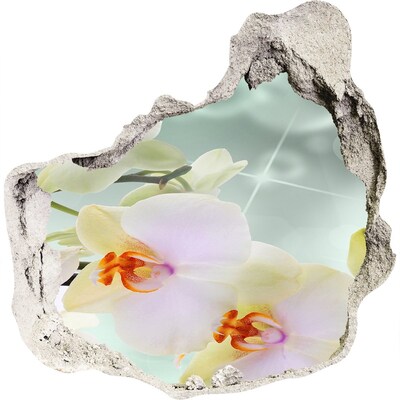 Fototapet un zid spart cu priveliște alb orhidee