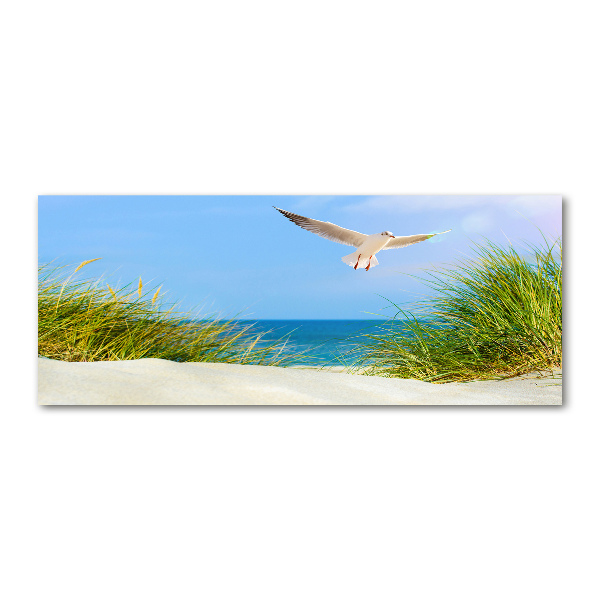 Tablou sticlă acrilică dune de coastă