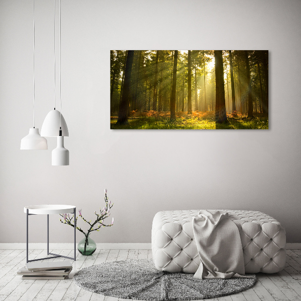 Tablou acrilic Wroclaw pe timp de noapte
