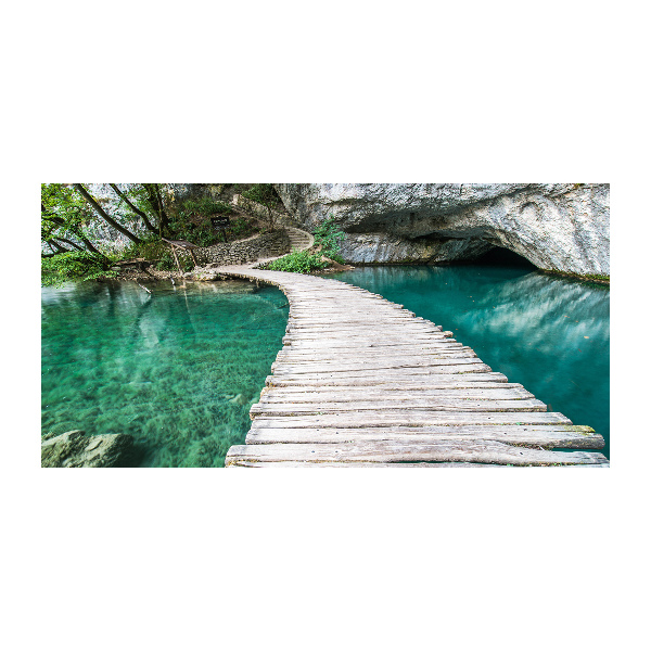 Tablou acrilic Imigrare