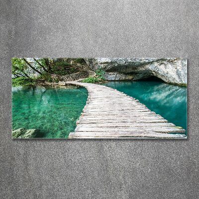 Tablou acrilic Imigrare