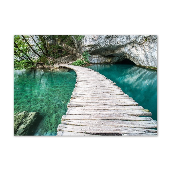 Tablou acrilic Imigrare