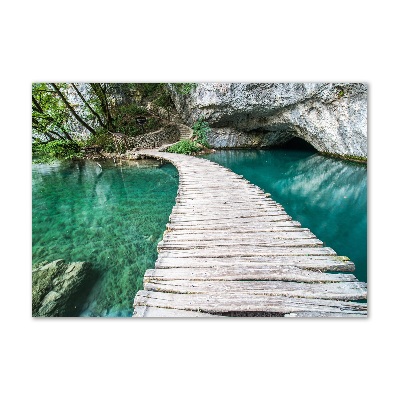 Tablou acrilic Imigrare