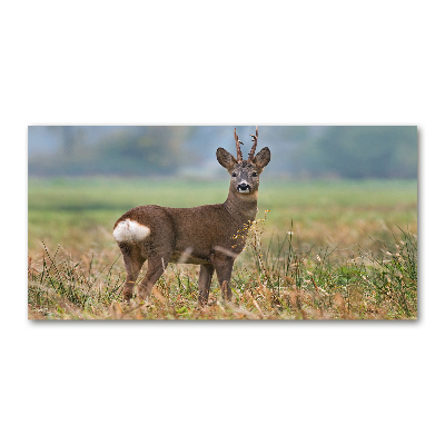 Tablou pe acril Ornitolog în pădure