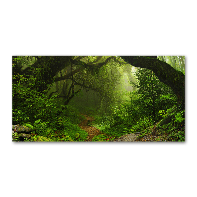 Tablou pe sticlă acrilică Cascada din pădure