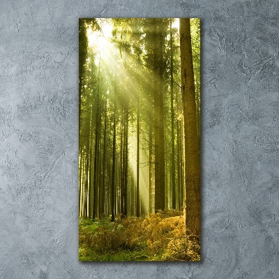 Tablou sticlă acrilică Soare în pădure