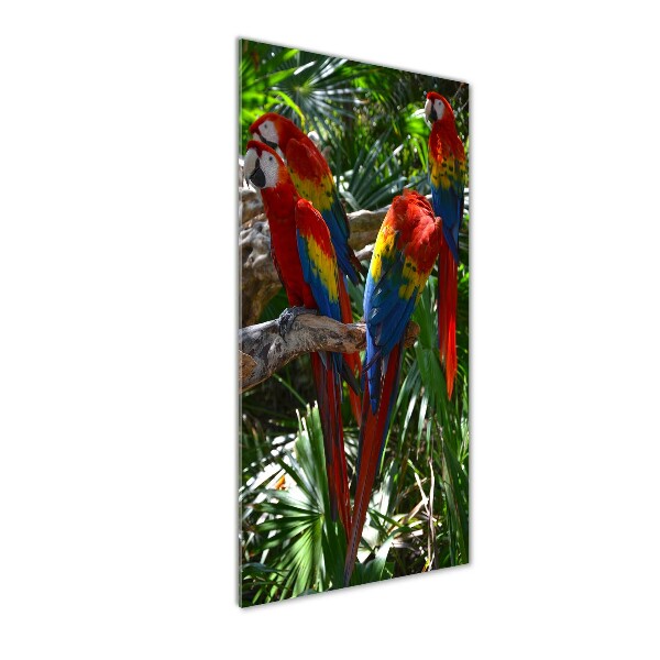 Tablou acrilic papagali Macaws