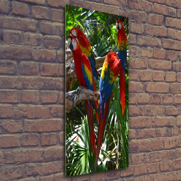 Tablou acrilic papagali Macaws