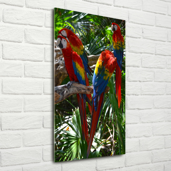 Tablou acrilic papagali Macaws