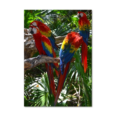 Tablou acrilic papagali Macaws