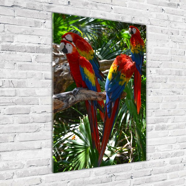 Tablou acrilic papagali Macaws