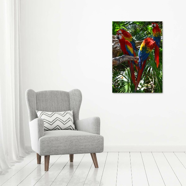 Tablou acrilic papagali Macaws