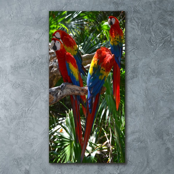 Tablou acrilic papagali Macaws