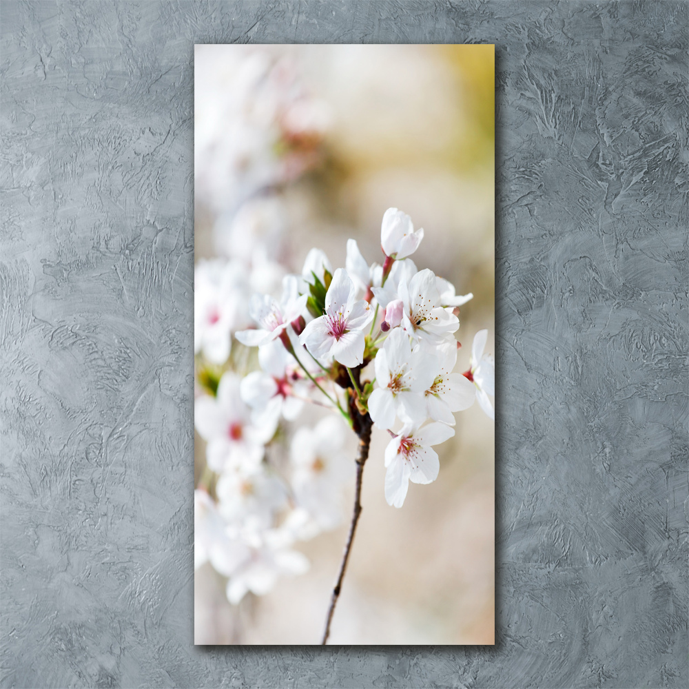 Pictura pe sticlă acrilică flori de cireș