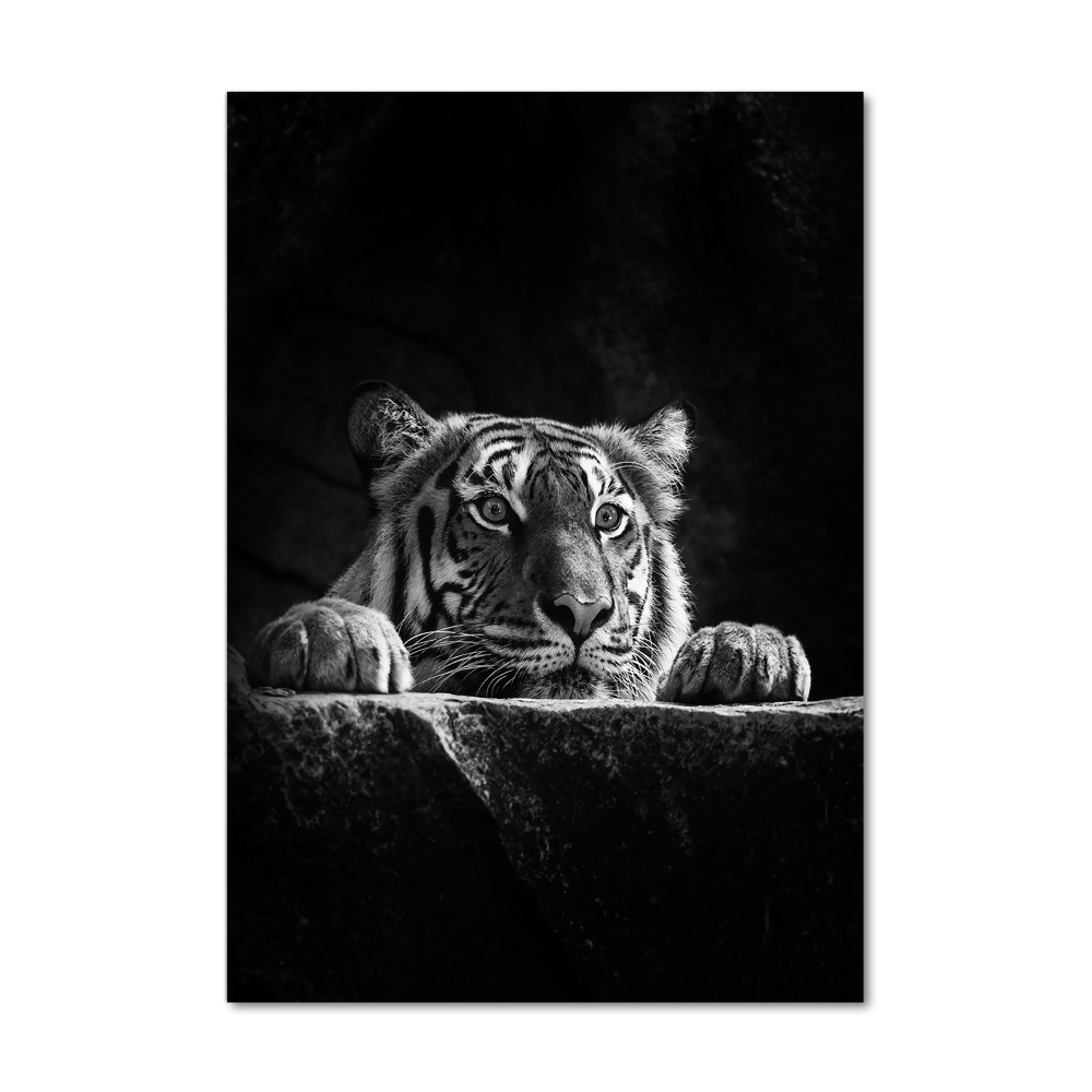 Tablou pe acril Tigru
