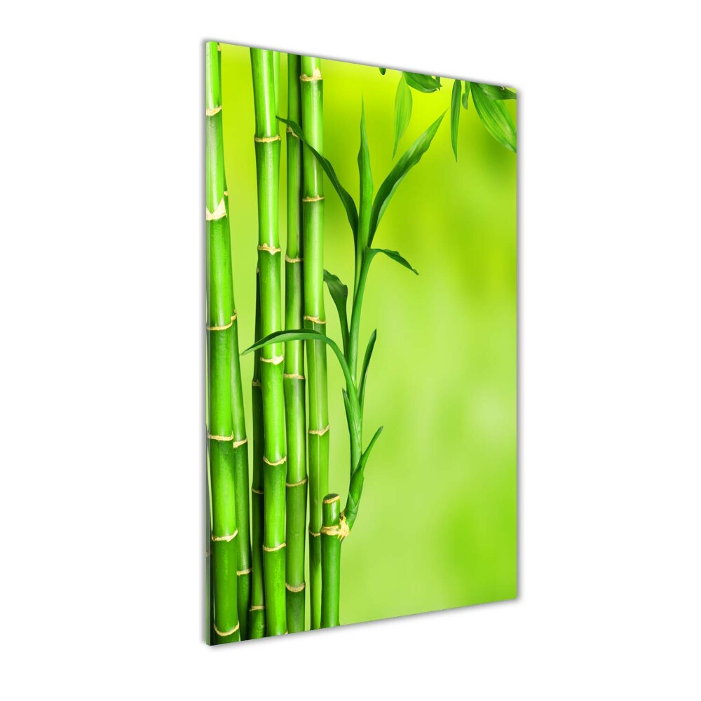 Tablou pe acril Bambus