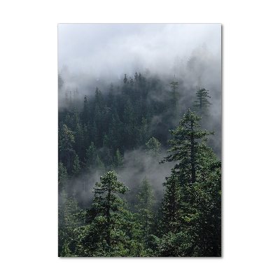 Tablou pe sticlă acrilică Ceață peste pădure