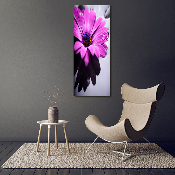 Tablou acrilic gerbera roz