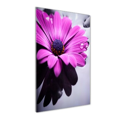 Tablou acrilic gerbera roz