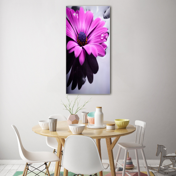 Tablou acrilic gerbera roz