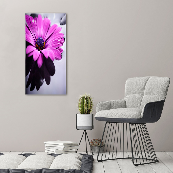 Tablou acrilic gerbera roz