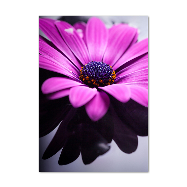 Tablou acrilic gerbera roz