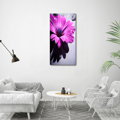 Tablou acrilic gerbera roz