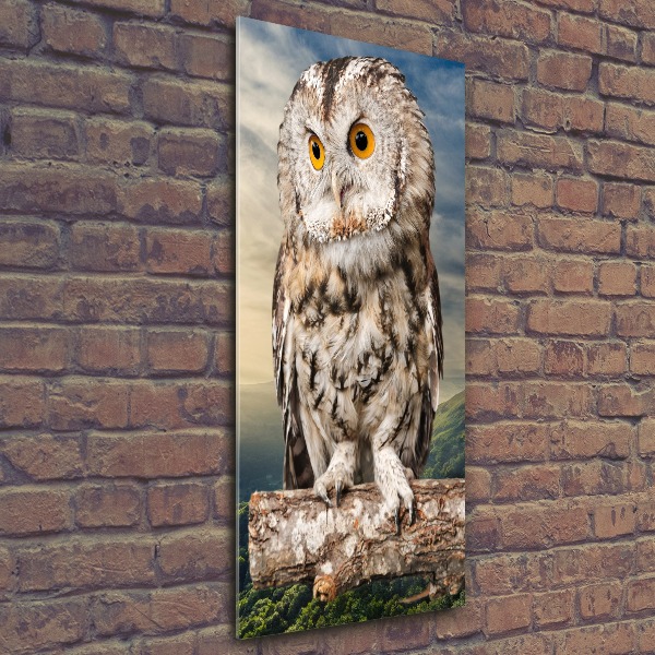 Tablou acrilic Owl pe deal