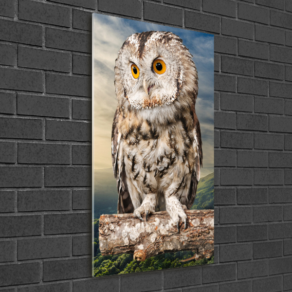 Tablou acrilic Owl pe deal