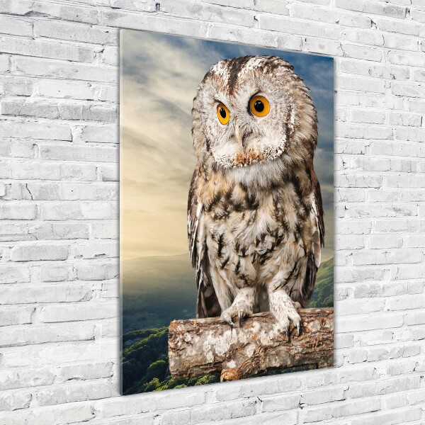 Tablou acrilic Owl pe deal