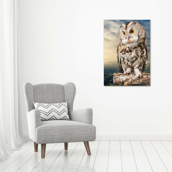 Tablou acrilic Owl pe deal