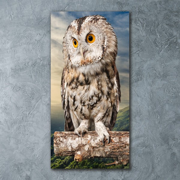 Tablou acrilic Owl pe deal