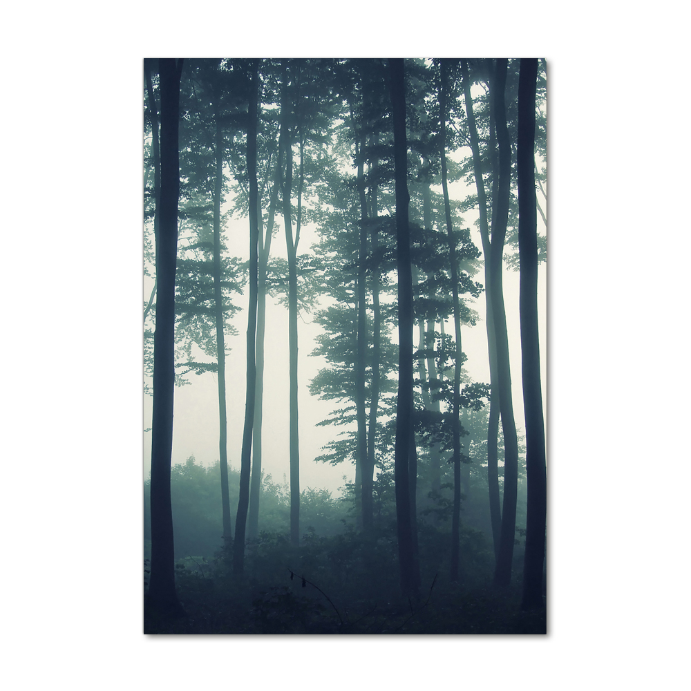 Tablou sticlă acrilică Ceață în pădure