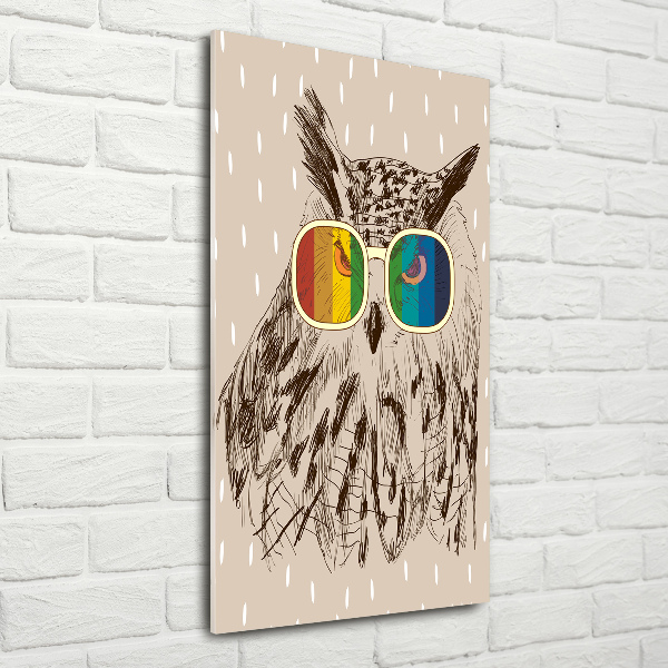 Tablou acrilic Owls ochelari