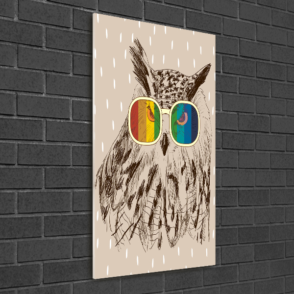 Tablou acrilic Owls ochelari