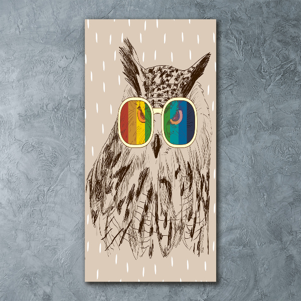 Tablou acrilic Owls ochelari